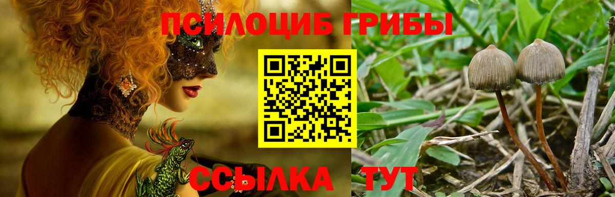 Галлюциногенные грибы ЛСД Нарткала